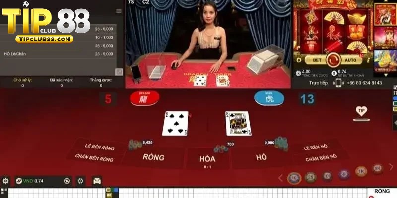 Live Rồng Hổ chinh phục mọi thành viên tham gia Live Rồng Hổ chinh phục mọi thành viên tham gia