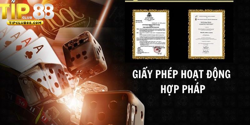 Sân chơi đã được cấp giấy phép hoạt động